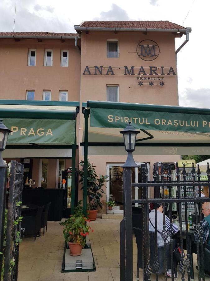 Pensiunea Ana Maria Băile Felix Dış mekan fotoğraf