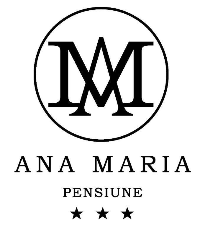 Pensiunea Ana Maria Băile Felix Dış mekan fotoğraf